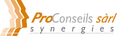Logo ProConseils Synergies petit